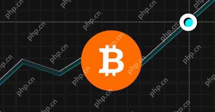 当加密货币或代币的价格快速上涨时使用的术语是什么?